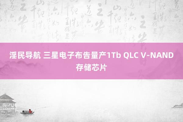 淫民导航 三星电子布告量产1Tb QLC V-NAND存储芯片