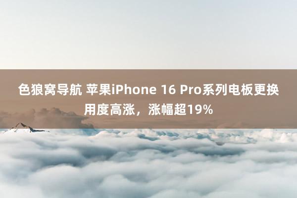 色狼窝导航 苹果iPhone 16 Pro系列电板更换用度高涨，涨幅超19%