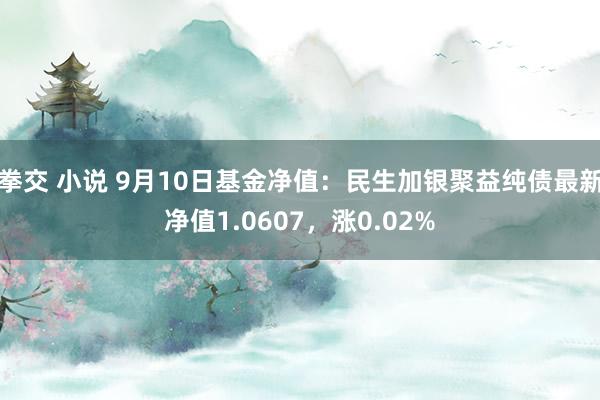 拳交 小说 9月10日基金净值：民生加银聚益纯债最新净值1.0607，涨0.02%