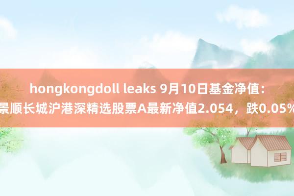 hongkongdoll leaks 9月10日基金净值：景顺长城沪港深精选股票A最新净值2.054，跌0.05%