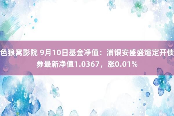 色狼窝影院 9月10日基金净值：浦银安盛盛煊定开债券最新净值1.0367，涨0.01%