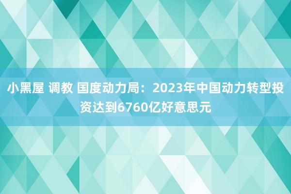 小黑屋 调教 国度动力局：2023年中国动力转型投资达到6760亿好意思元