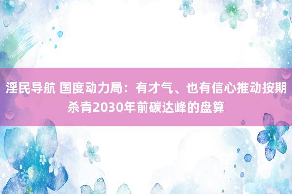 淫民导航 国度动力局：有才气、也有信心推动按期杀青2030年前碳达峰的盘算