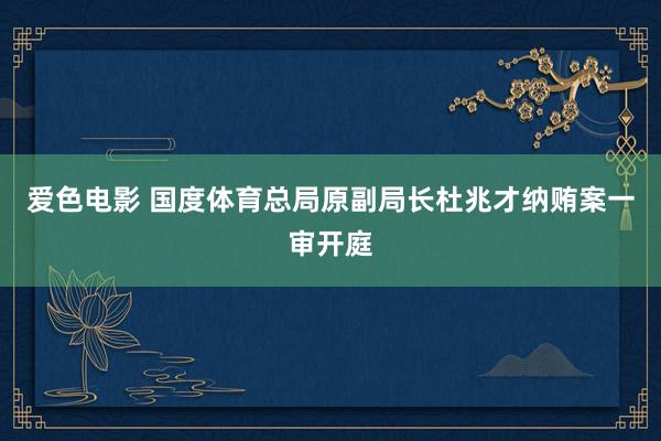 爱色电影 国度体育总局原副局长杜兆才纳贿案一审开庭