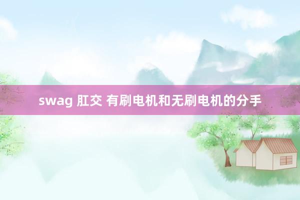 swag 肛交 有刷电机和无刷电机的分手