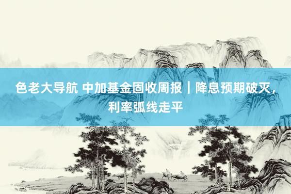 色老大导航 中加基金固收周报︱降息预期破灭，利率弧线走平