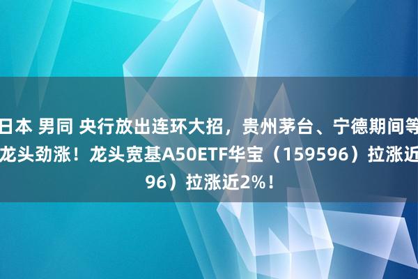 日本 男同 央行放出连环大招，贵州茅台、宁德期间等A50龙头劲涨！龙头宽基A50ETF华宝（159596）拉涨近2%！