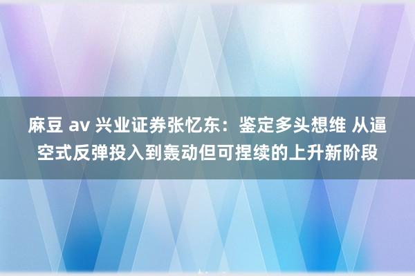 麻豆 av 兴业证券张忆东：鉴定多头想维 从逼空式反弹投入到轰动但可捏续的上升新阶段