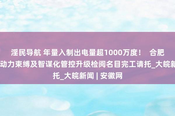 淫民导航 年量入制出电量超1000万度！  合肥高新区街灯动力束缚及智谋化管控升级检阅名目完工请托_大皖新闻 | 安徽网