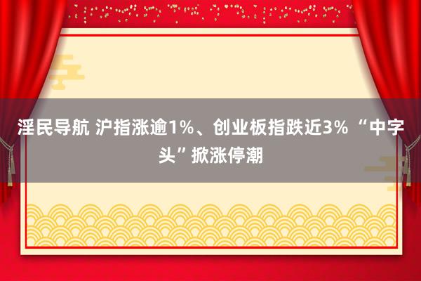 淫民导航 沪指涨逾1%、创业板指跌近3% “中字头”掀涨停潮