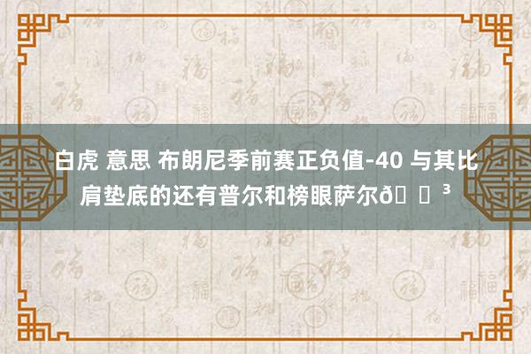 白虎 意思 布朗尼季前赛正负值-40 与其比肩垫底的还有普尔和榜眼萨尔😳