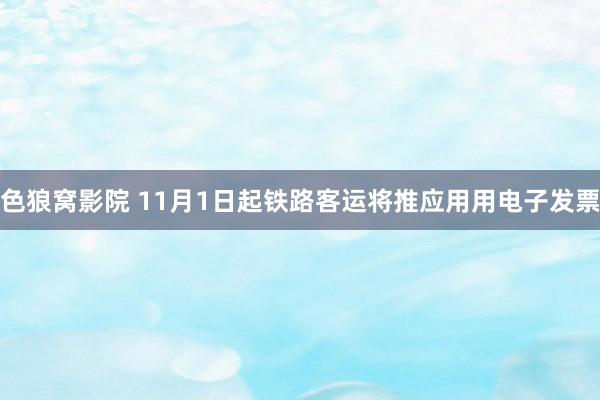 色狼窝影院 11月1日起铁路客运将推应用用电子发票