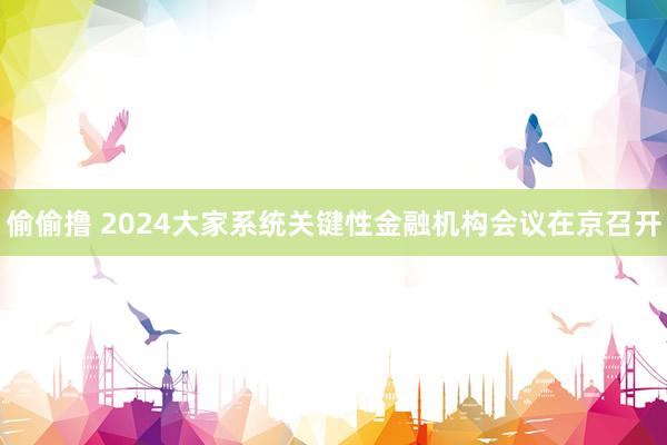 偷偷撸 2024大家系统关键性金融机构会议在京召开