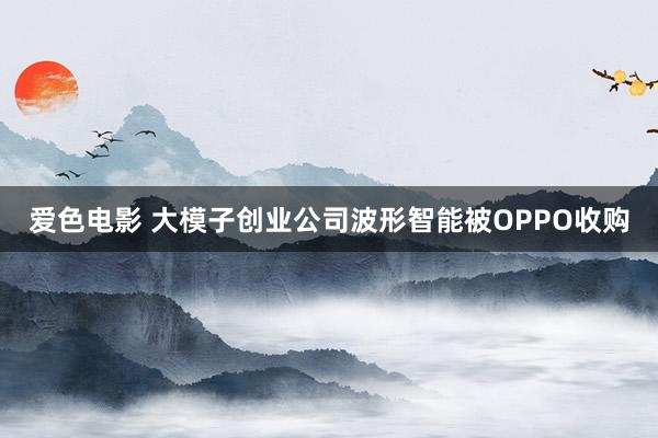 爱色电影 大模子创业公司波形智能被OPPO收购