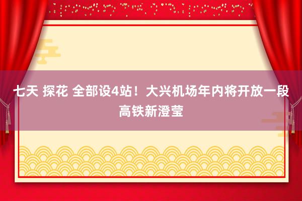 七天 探花 全部设4站！大兴机场年内将开放一段高铁新澄莹