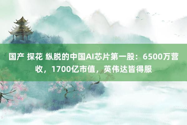 国产 探花 纵脱的中国AI芯片第一股：6500万营收，1700亿市值，英伟达皆得服