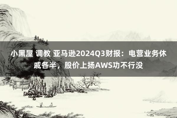 小黑屋 调教 亚马逊2024Q3财报：电营业务休戚各半，股价上扬AWS功不行没