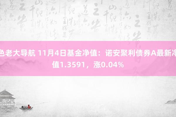 色老大导航 11月4日基金净值：诺安聚利债券A最新净值1.3591，涨0.04%