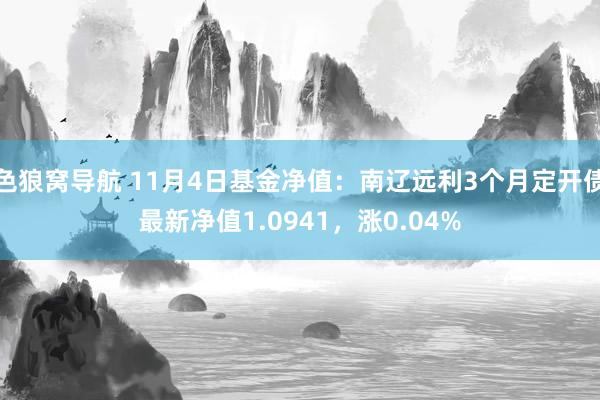 色狼窝导航 11月4日基金净值：南辽远利3个月定开债最新净值1.0941，涨0.04%