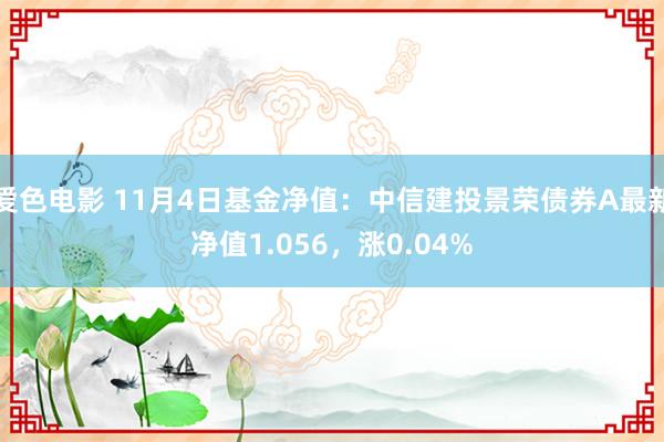 爱色电影 11月4日基金净值：中信建投景荣债券A最新净值1.056，涨0.04%