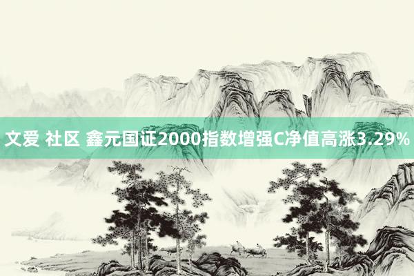 文爱 社区 鑫元国证2000指数增强C净值高涨3.29%