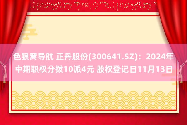 色狼窝导航 正丹股份(300641.SZ)：2024年中期职权分拨10派4元 股权登记日11月13日