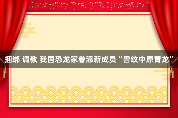 捆绑 调教 我国恐龙家眷添新成员“兽纹中原胄龙”