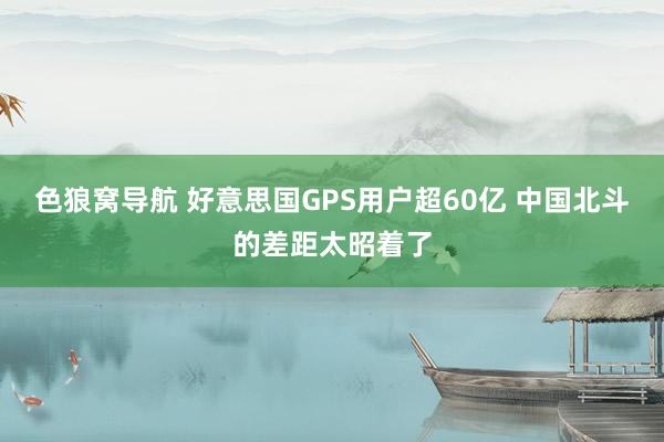 色狼窝导航 好意思国GPS用户超60亿 中国北斗的差距太昭着了