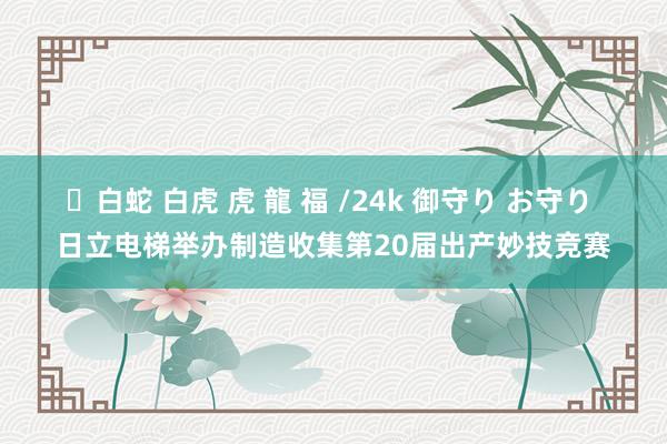 ✨白蛇 白虎 虎 龍 福 /24k 御守り お守り 日立电梯举办制造收集第20届出产妙技竞赛