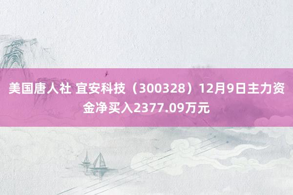 美国唐人社 宜安科技（300328）12月9日主力资金净买入2377.09万元