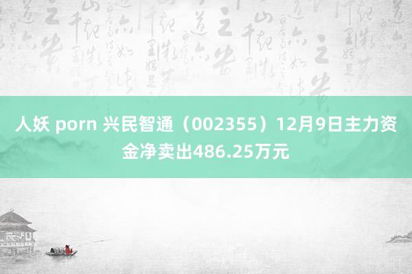 人妖 porn 兴民智通（002355）12月9日主力资金净卖出486.25万元