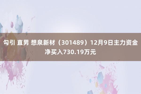 勾引 直男 想泉新材（301489）12月9日主力资金净买入730.19万元