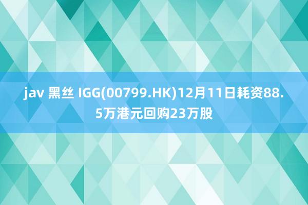 jav 黑丝 IGG(00799.HK)12月11日耗资88.5万港元回购23万股