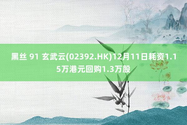 黑丝 91 玄武云(02392.HK)12月11日耗资1.15万港元回购1.3万股