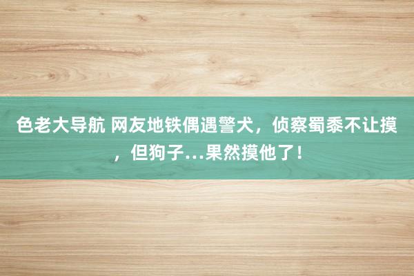 色老大导航 网友地铁偶遇警犬，侦察蜀黍不让摸，但狗子…果然摸他了！