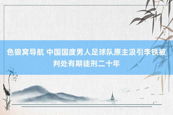 色狼窝导航 中国国度男人足球队原主汲引李铁被判处有期徒刑二十年