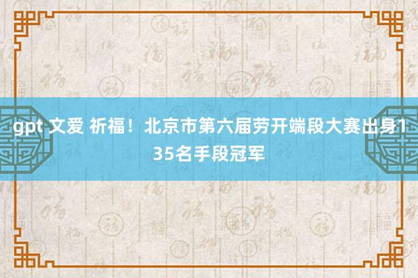 gpt 文爱 祈福！北京市第六届劳开端段大赛出身135名手段冠军