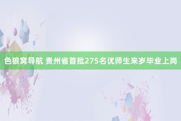 色狼窝导航 贵州省首批275名优师生来岁毕业上岗