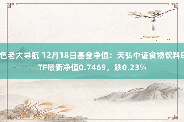 色老大导航 12月18日基金净值：天弘中证食物饮料ETF最新净值0.7469，跌0.23%