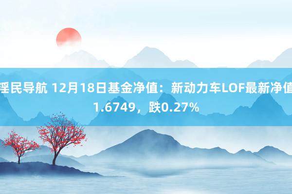 淫民导航 12月18日基金净值：新动力车LOF最新净值1.6749，跌0.27%