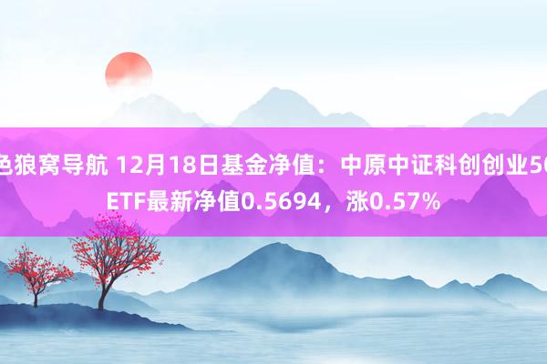 色狼窝导航 12月18日基金净值：中原中证科创创业50ETF最新净值0.5694，涨0.57%