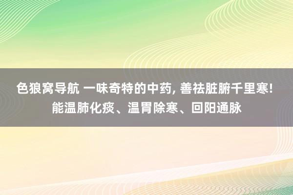 色狼窝导航 一味奇特的中药， 善祛脏腑千里寒! 能温肺化痰、温胃除寒、回阳通脉