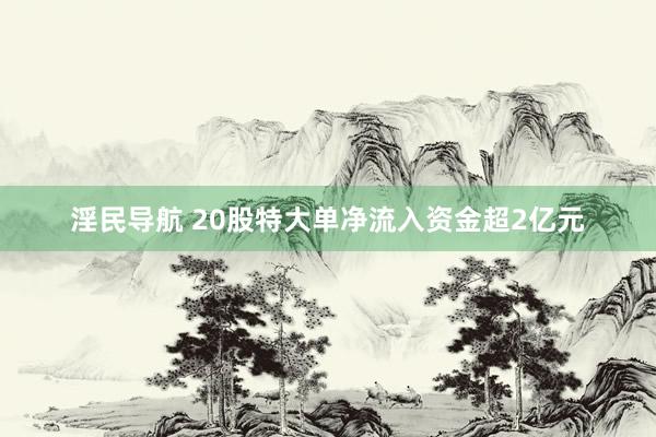 淫民导航 20股特大单净流入资金超2亿元