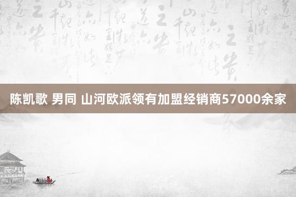 陈凯歌 男同 山河欧派领有加盟经销商57000余家