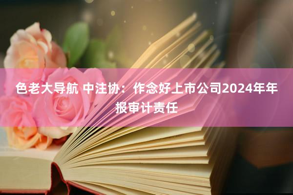 色老大导航 中注协：作念好上市公司2024年年报审计责任