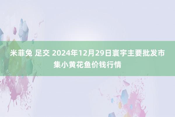 米菲兔 足交 2024年12月29日寰宇主要批发市集小黄花鱼价钱行情