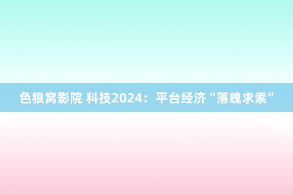 色狼窝影院 科技2024：平台经济“落魄求索”