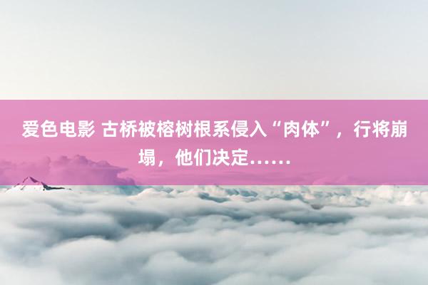 爱色电影 古桥被榕树根系侵入“肉体”，行将崩塌，他们决定……