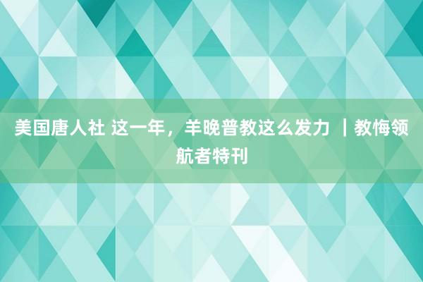 美国唐人社 这一年，羊晚普教这么发力 ｜教悔领航者特刊