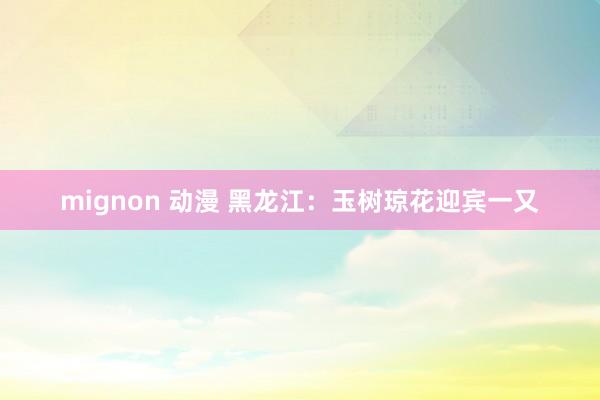 mignon 动漫 黑龙江：玉树琼花迎宾一又